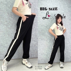 17985 Q.TT Bo -00315- ĐEN