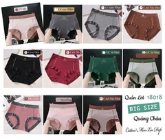 Quần lót Hieu BIGSIZE Quảng Châu cạp cao, chất mịn - đẹp, co giãn - 18018