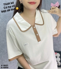 Áo polo che bụng BIGSIZE Quảng Châu logo ST chất đẹp, size DAI 100kg 110kg-  KEM