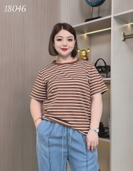 S-0020- 18046 A.sọc