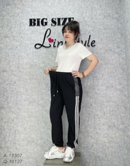 18137 Q.TT 3 sọc 00270- ĐEN