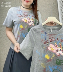 18160 Áo CropRop Tho- MINI XÁM