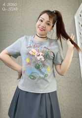 18160 Áo CropRop Tho- MINI XÁM