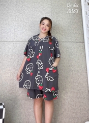 S-0020--18183 Ss.Pi Dau 00388 XÁM