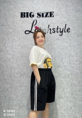 2503 - S-0020  QS ngố 5t Sọc 00192