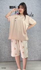 S-0020- 18196  SL cổ tròn Tho 00388 - NÂU