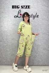 Bộ lửng BIGSIZE QCCC thun cotton mịn đẹp loại 1 thấm hút mồ hôi tốt, cổ tim G SL.DAI- 18197- XANH