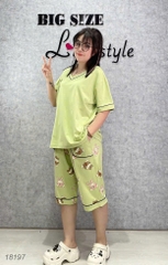 Bộ lửng BIGSIZE QCCC thun cotton mịn đẹp loại 1 thấm hút mồ hôi tốt, cổ tim G SL.DAI- 18197- XANH