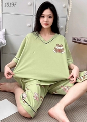 Bộ lửng BIGSIZE QCCC thun cotton mịn đẹp loại 1 thấm hút mồ hôi tốt, cổ tim G SL.DAI- 18197- XANH