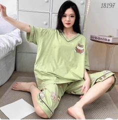 Bộ lửng BIGSIZE QCCC thun cotton mịn đẹp loại 1 thấm hút mồ hôi tốt, cổ tim G SL.DAI- 18197- XANH