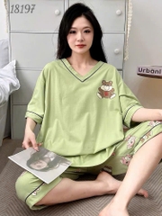 Bộ lửng BIGSIZE QCCC thun cotton mịn đẹp loại 1 thấm hút mồ hôi tốt, cổ tim G SL.DAI- 18197- XANH