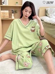 Bộ lửng BIGSIZE QCCC thun cotton mịn đẹp loại 1 thấm hút mồ hôi tốt, cổ tim G SL.DAI- 18197- XANH