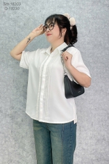 18203 Somi TN 1 nút cổ 00270