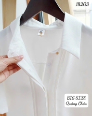 18203 Somi TN 1 nút cổ 00270