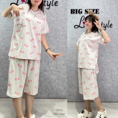 S-0020--18213 SL Tho-Nơ-00388-XÁM NHẠT