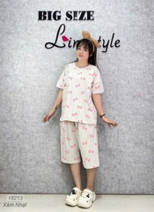 S-0020--18213 SL Tho-Nơ-00388-XÁM NHẠT