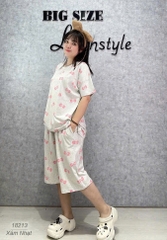 S-0020--18213 SL Tho-Nơ-00388-XÁM NHẠT