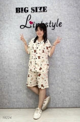 S-0020--18224  Ss.Pi Tho- Nơ -00412- KEM