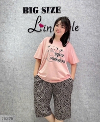 18228 SL. Áo G- Q.Beo-00387- xám