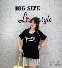 S-0020--18237- A.cổ tim MEMO- 00296