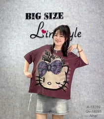 18289  A.OVS kity- 00342