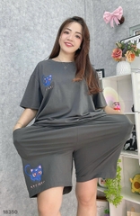 S-0020--18350 Ss. Logo #6606 Meo- 00399- XÁM