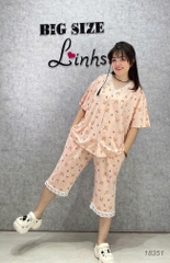 S-0020--18351- SL.Pi Tho-#6529-00388-Hồng