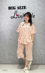 S-0020--18351- SL.Pi Tho-#6529-00388-Hồng