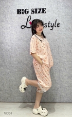 S-0020--18351- SL.Pi Tho-#6529-00388-Hồng