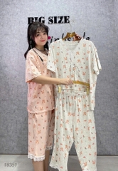 S-0020--18351- SL.Pi Tho-#6529-00388-Hồng