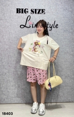 Bộ đùi BIGSIZE QCCC chất cotton, co giãn mịn đẹp SS.DAI 110kg 00378- 3 Cho- 18403- HỒNG