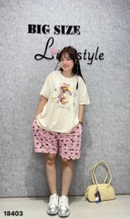 Bộ đùi BIGSIZE QCCC chất cotton, co giãn mịn đẹp SS.DAI 110kg 00378- 3 Cho- 18403- HỒNG