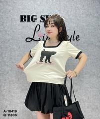 Áo cổ vuông BIGSIZE QCCC chất đẹp hình mèo cotton mềm co giãn nhiều - 18419