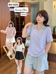 NEW.10- 18420 - Ss. Polo cổ V--00496- Tím