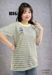 18425 A. Sọc 3 Meo- 00288