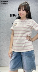 18434 A. Sọc PD 00270