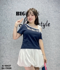 18437 A. R1V chữ 00270