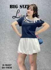 18437 A. R1V chữ 00270