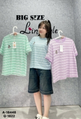 18448 - A.sọc LBB thêu 00288