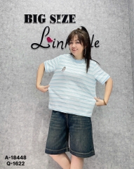 18448 - A.sọc LBB thêu 00288