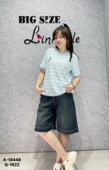 18448 - A.sọc LBB thêu 00288