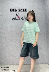 18448 - A.sọc LBB thêu 00288