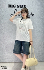 18453 A.Meo- Nơ 00288