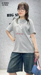 18453 A.Meo- Nơ 00288