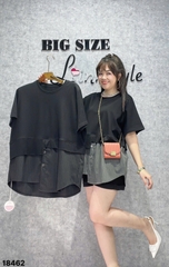 S-0020--18462 A. Lai phối sọc 00296