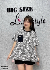 18464 A.chữ túi 00288