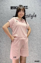 18465 Ss.polo logo G- 00450