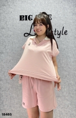 18465 Ss.polo logo G- 00450