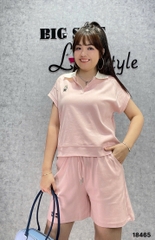 18465 Ss.polo logo G- 00450