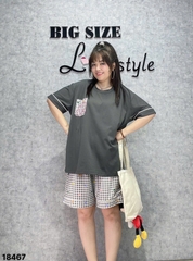 18467 - Ss.Túi Cin CR 00387